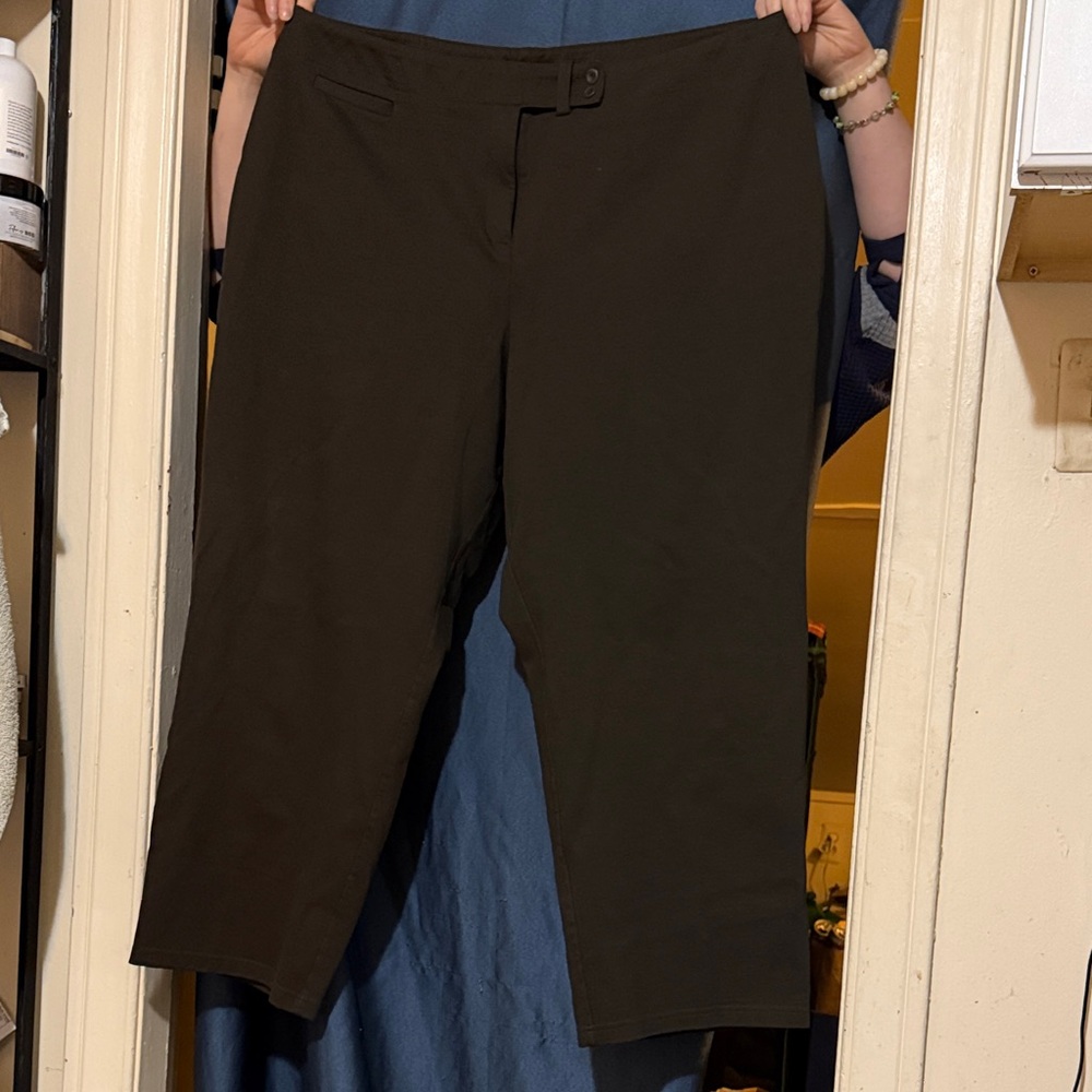 3x Dark Green Eileen Fisher Capri Dress Pants